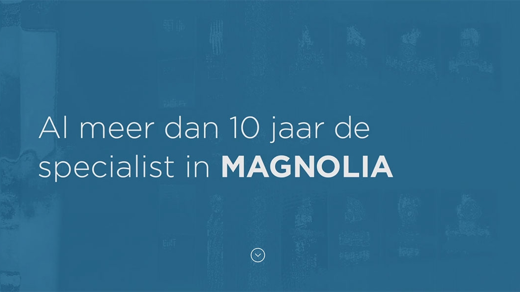 10-jaar-magnolia-specialist